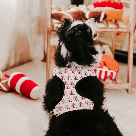 Ohio State Buckeye's Helmet Paw Print Pet Harness - Picture 10 of 10